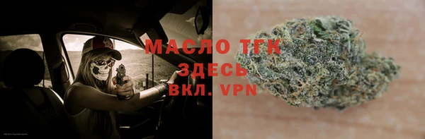 хмурый Арсеньев