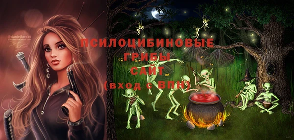 винт Аркадак