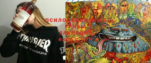 хмурый Арсеньев