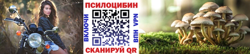 Псилоцибиновые грибы мухоморы  кракен маркетплейс  Судак 